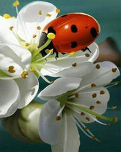 Cargar imagen en el visor de la galería, Punto De Cruz Diamante - Punto De Cruz Diamante - La Mariquita Y Las Flores - Figuredart - Flores Mascotas Punto De Cruz Diamante Animales