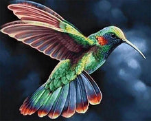 Cargar imagen en el visor de la galería, Punto De Cruz Diamante - Punto De Cruz Diamante - Colibrí En La Noche - Figuredart - Mascotas Punto De Cruz Diamante Animales