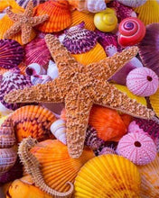 Cargar imagen en el visor de la galería, Punto De Cruz Diamante - Punto De Cruz Diamante - Estrella De Conchas De Mar Y Colorido - Figuredart - Mascotas Punto De Cruz Diamante