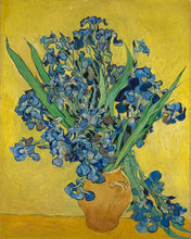 Cargar imagen en el visor de la galería, Diamond Painting - Jarrón con lirios - Van Gogh