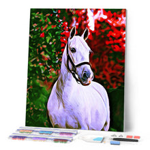 Cargar imagen en el visor de la galería, Punto de Cruz Diamante - Diamond Painting - Caballo y fondo de color 40x50cm con bastidor montado