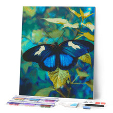 Cargar imagen en el visor de la galería, Diamond Painting - Mariposa Heliconius Cydno