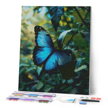Cargar imagen en el visor de la galería, Diamond Painting - Mariposa Morfo Azul