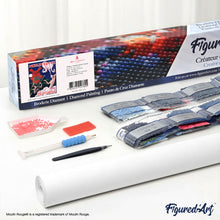 Cargar imagen en el visor de la galería, Diamond Painting - Cartel Moulin Rouge - Music Hall