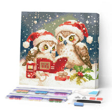 Cargar imagen en el visor de la galería, Mini Diamond Painting 25x25cm - Búhos de Papá Noel leyendo