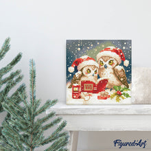 Cargar imagen en el visor de la galería, Mini Diamond Painting 25x25cm - Búhos de Papá Noel leyendo