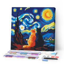 Cargar imagen en el visor de la galería, Pintar por numeros Figured'Art - Mini Diamond Painting 25x25cm - Compañeros de noche estrellada