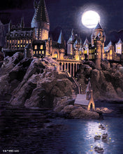 Cargar imagen en el visor de la galería, Diamond Painting - Castillo de Hogwarts de noche - Harry Potter 40x50cm con bastidor montado