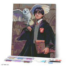 Cargar imagen en el visor de la galería, Diamond Painting - Harry Potter y Hedwig 40x50cm con bastidor montado