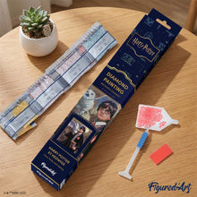 Cargar imagen en el visor de la galería, Diamond Painting - Harry Potter y Hedwig