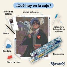 Cargar imagen en el visor de la galería, Diamond Painting - Harry Potter y Hedwig