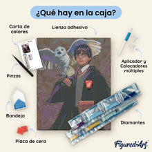 Cargar imagen en el visor de la galería, Diamond Painting - Harry Potter y Hedwig 40x50cm con bastidor montado