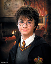 Cargar imagen en el visor de la galería, Diamond Painting - Retrato de Harry Potter