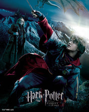 Cargar imagen en el visor de la galería, Diamond Painting - Harry Potter y el Cáliz de Fuego