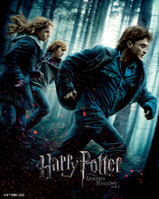 Cargar imagen en el visor de la galería, Diamond Painting - Harry Potter y las Reliquias de la Muerte - Parte 1