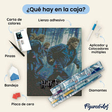 Cargar imagen en el visor de la galería, Diamond Painting - Harry Potter y las Reliquias de la Muerte - Parte 1 40x50cm con bastidor montado