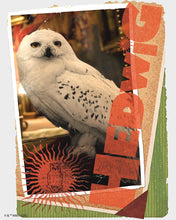 Cargar imagen en el visor de la galería, Diamond Painting - Harry Potter - Carta de Hedwig