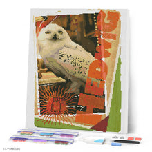 Cargar imagen en el visor de la galería, Diamond Painting - Harry Potter - Carta de Hedwig