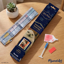 Cargar imagen en el visor de la galería, Diamond Painting - Harry Potter - Carta de Hedwig