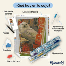 Cargar imagen en el visor de la galería, Diamond Painting - Harry Potter - Carta de Hedwig
