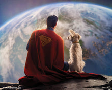 Cargar imagen en el visor de la galería, Diamond Painting - Superman y Krypto