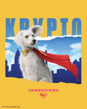 Cargar imagen en el visor de la galería, Diamond Painting - Krypto con el skyline - Superman 40x50cm con bastidor montado