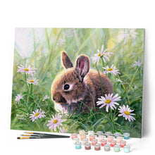 Cargar imagen en el visor de la galería, Pintar Por Números - Conejo y margueritas - Figuredart - Intermedio Animales Conejos Novedades