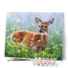 Cargar imagen en el visor de la galería, Pintar Por Números - Ciervo en la pradera - Figuredart - Intermedio Animales Renos Novedades