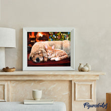 Cargar imagen en el visor de la galería, Pintar Por Números - Siesta con amigos - Figuredart - Fácil Animales Perros Gatos Novedades