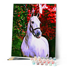 Cargar imagen en el visor de la galería, Pintar por números Caballo y fondo de color Figured'Art Intermedio Novedades Animales Caballos