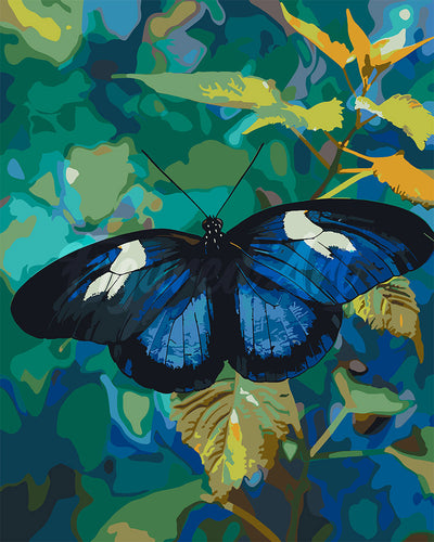 Pintar por numeros Figured'Art - Mariposa Heliconius Cydno