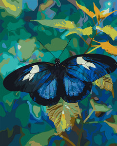 Pintar por numeros Figured'Art - Mariposa Heliconius Cydno