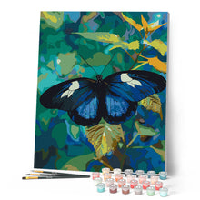 Cargar imagen en el visor de la galería, Mariposa Heliconius Cydno