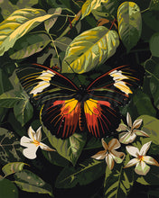 Cargar imagen en el visor de la galería, Pintar por numeros Figured&#39;Art - Mariposa Heliconius Erato