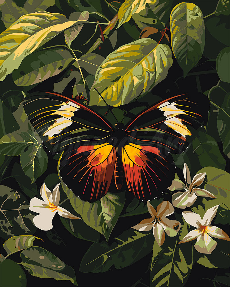 Pintar por numeros Figured'Art - Mariposa Heliconius Erato