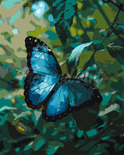 Cargar imagen en el visor de la galería, Pintar por numeros Figured&#39;Art - Mariposa Morfo Azul