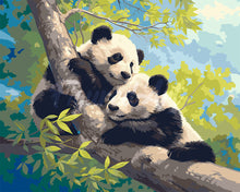 Cargar imagen en el visor de la galería, Pintar por numeros Figured&#39;Art - Pandas en una Rama