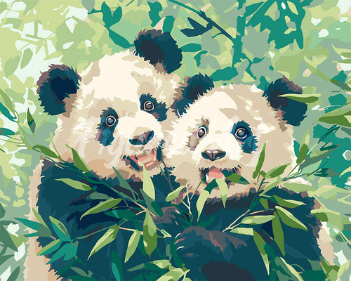 Pintar por numeros Figured'Art - Pandas Comiendo Bambú