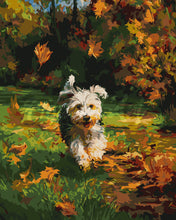 Cargar imagen en el visor de la galería, Pintar por numeros Figured'Art - Cachorro alegre en otoño