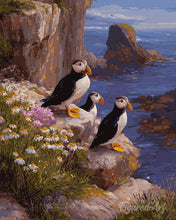 Cargar imagen en el visor de la galería, Pintar por numeros Figured'Art - Frailecillo en acantilados al atardecer