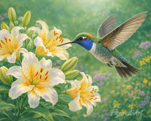 Cargar imagen en el visor de la galería, Pintar por numeros Figured'Art - Colibrí en flor 1
