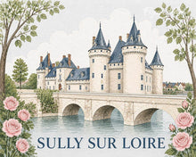 Cargar imagen en el visor de la galería, Pintar por numeros Figured'Art - Castillo de Sully-sur-Loire