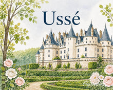 Cargar imagen en el visor de la galería, Pintar por numeros Figured'Art - Castillo de Ussé