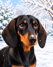 Cargar imagen en el visor de la galería, Pintar por numeros Figured'Art - Retrato de un teckel en invierno