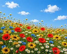 Cargar imagen en el visor de la galería, Pintar por numeros Figured'Art - Pradera de flores silvestres