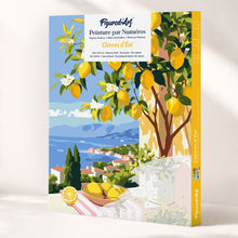Cargar imagen en el visor de la galería, Kit Regalo Pintura por números - Limón de Verano Figured'Art
