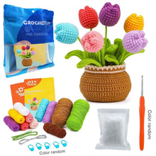 Cargar imagen en el visor de la galería, Kit Amigurumi - Ramo de Tulipanes