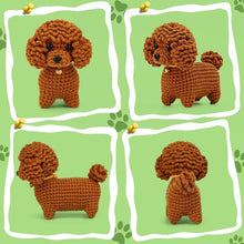 Cargar imagen en el visor de la galería, Kit Amigurumi - Caniche Marrón