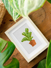 Cargar imagen en el visor de la galería, Mini Serie Diamond Painting - Plantas