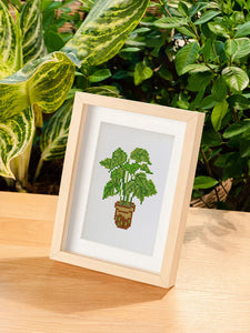 Mini Serie Diamond Painting - Plantas